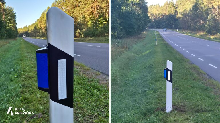400 laukinių gyvūnų atbaidymo atšvaitų Lietuvos keliuose: bus vertinamas jų efektyvumas