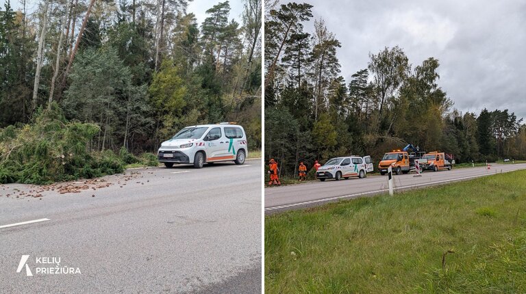 Kelininkai šalina vėjo sukeltas kliūtis